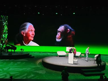 Safari Tour Highlights