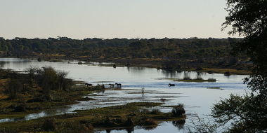 Safari Tour Highlights