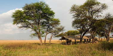 Safari Tour Highlights