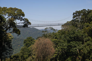 Safari Tour Highlights