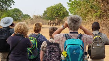 Safari Tour Highlights