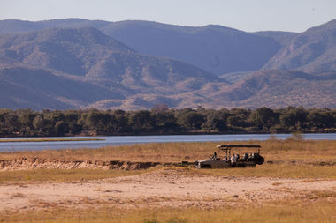 Safari Tour Highlights