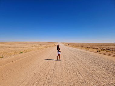 Safari Tour Highlights