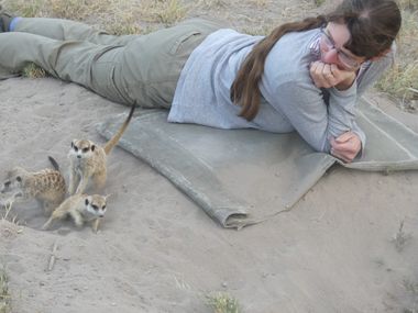 Safari Tour Highlights