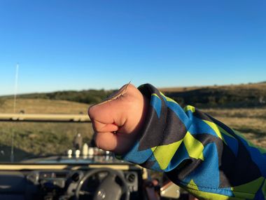 Safari Tour Highlights