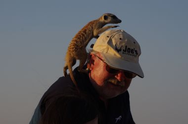 Safari Tour Highlights