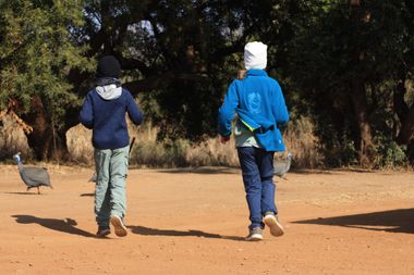 Safari Tour Highlights