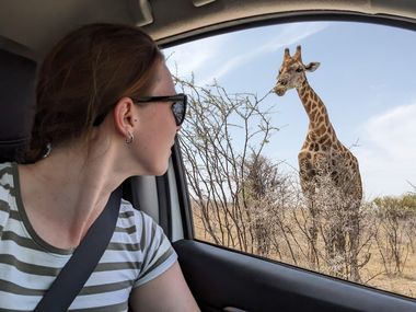 Safari Tour Highlights