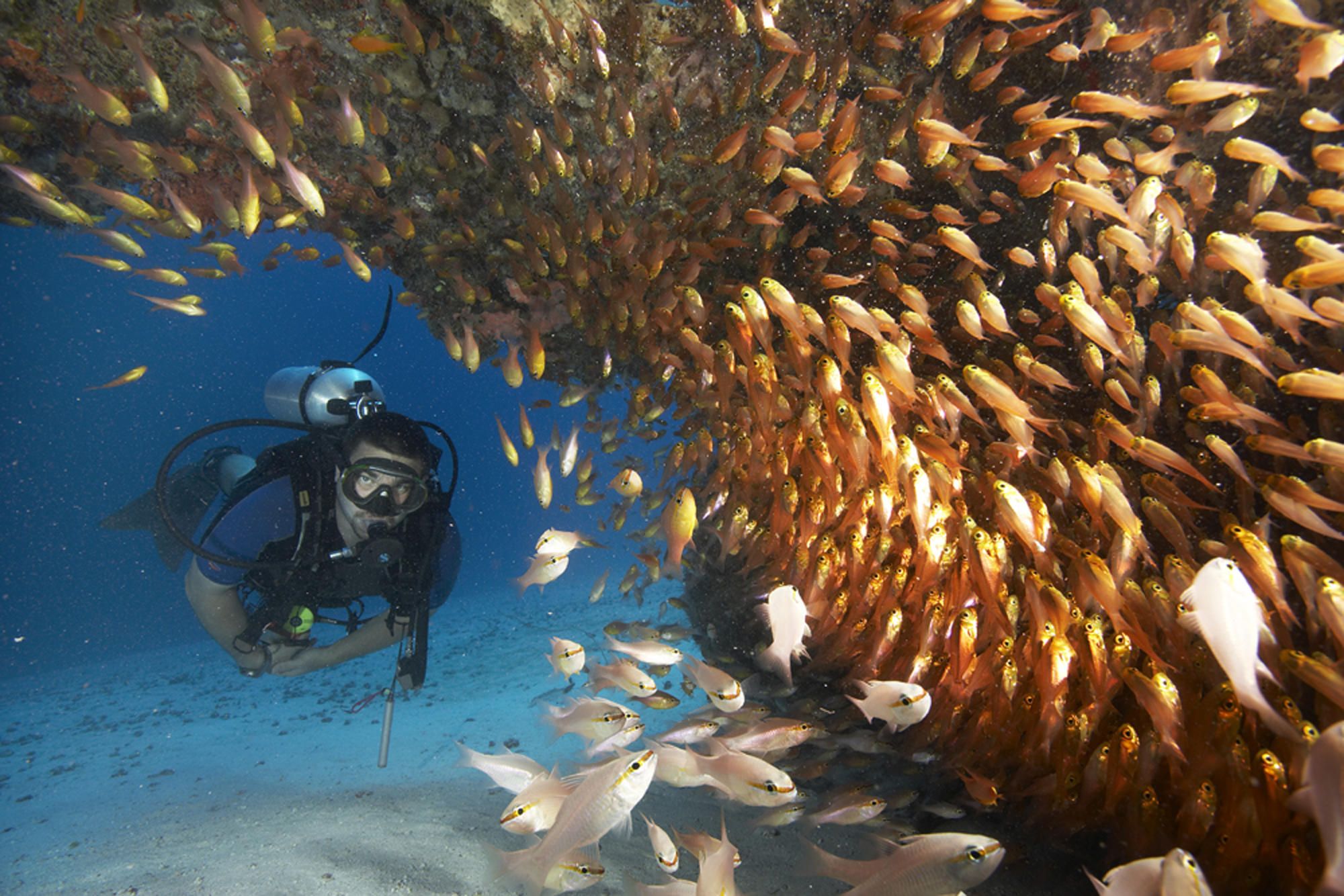 breezes rising sun dive centre