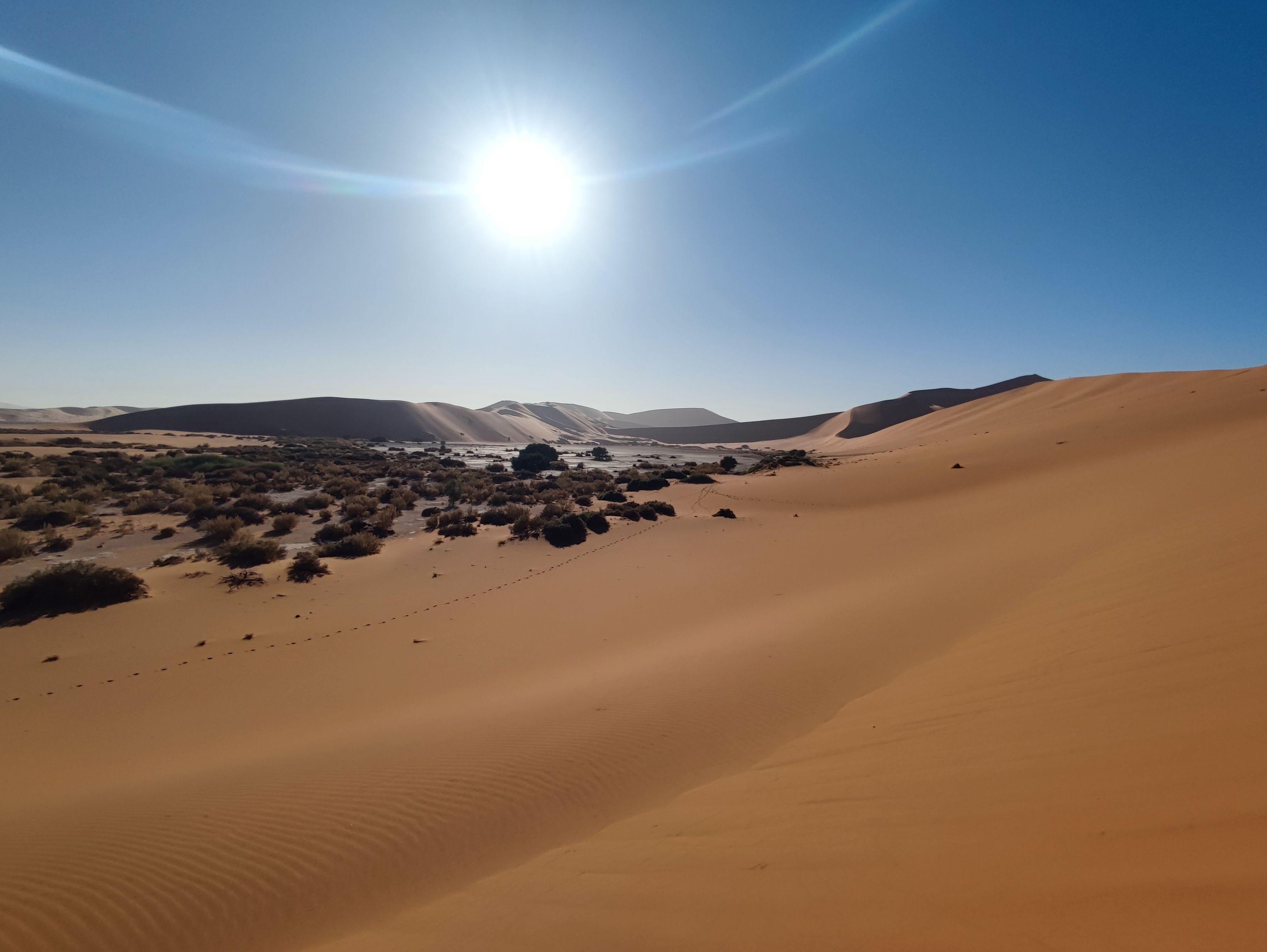 namib1