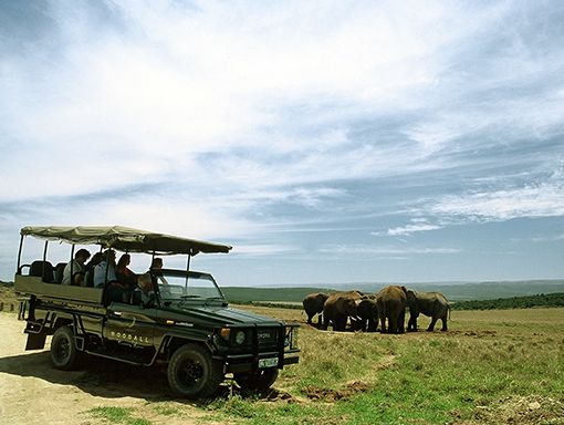 Bild Woodall Country House, SA