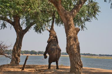 Safari Tour Highlights