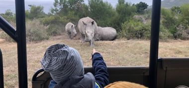 Safari Tour Highlights