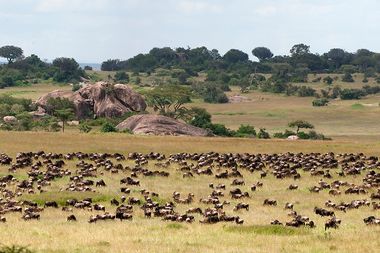 Popup Bild Best of Tansania